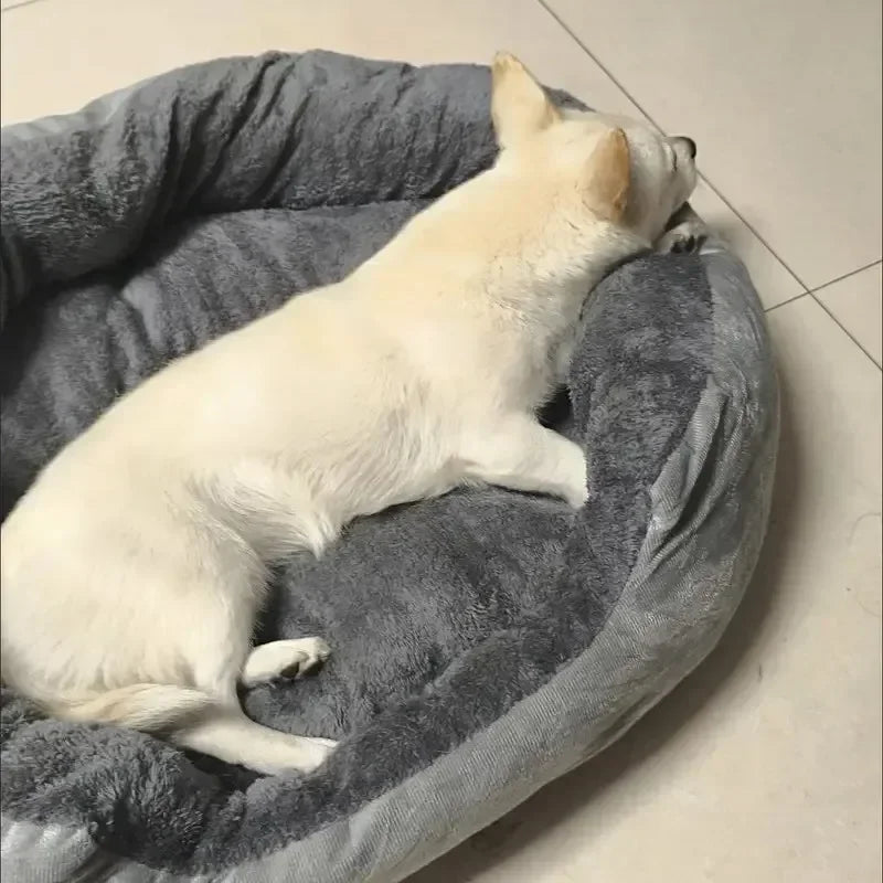 Cama Suave para Perros y Gatos