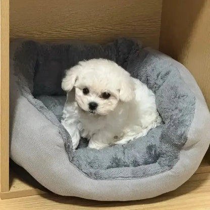 Cama Suave para Perros y Gatos