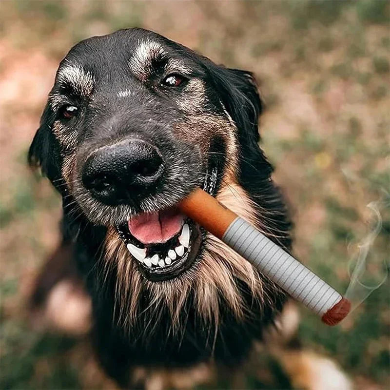 Juguete Mordedor con Sonido para Perros