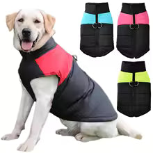Chaleco Impermeable para Perros