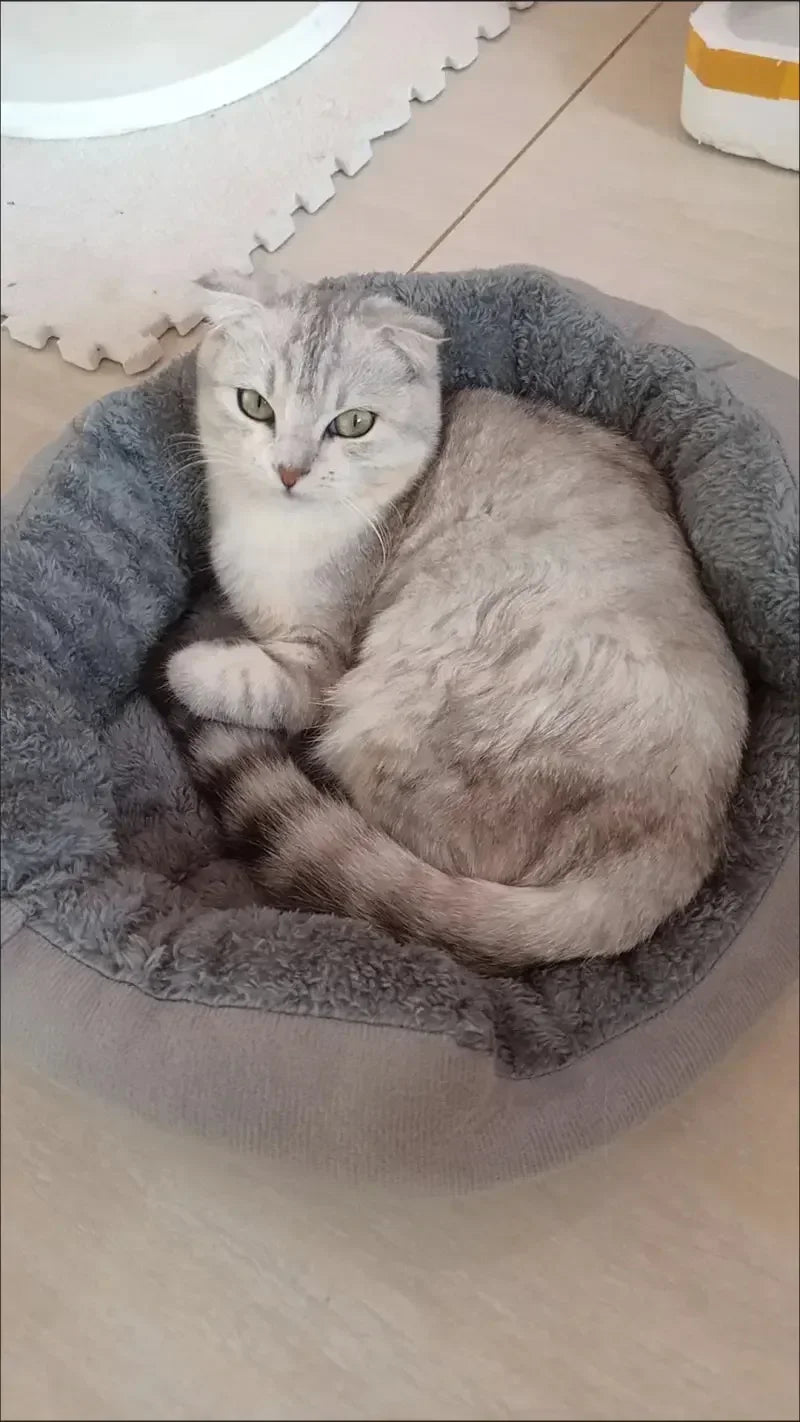Cama Suave para Perros y Gatos