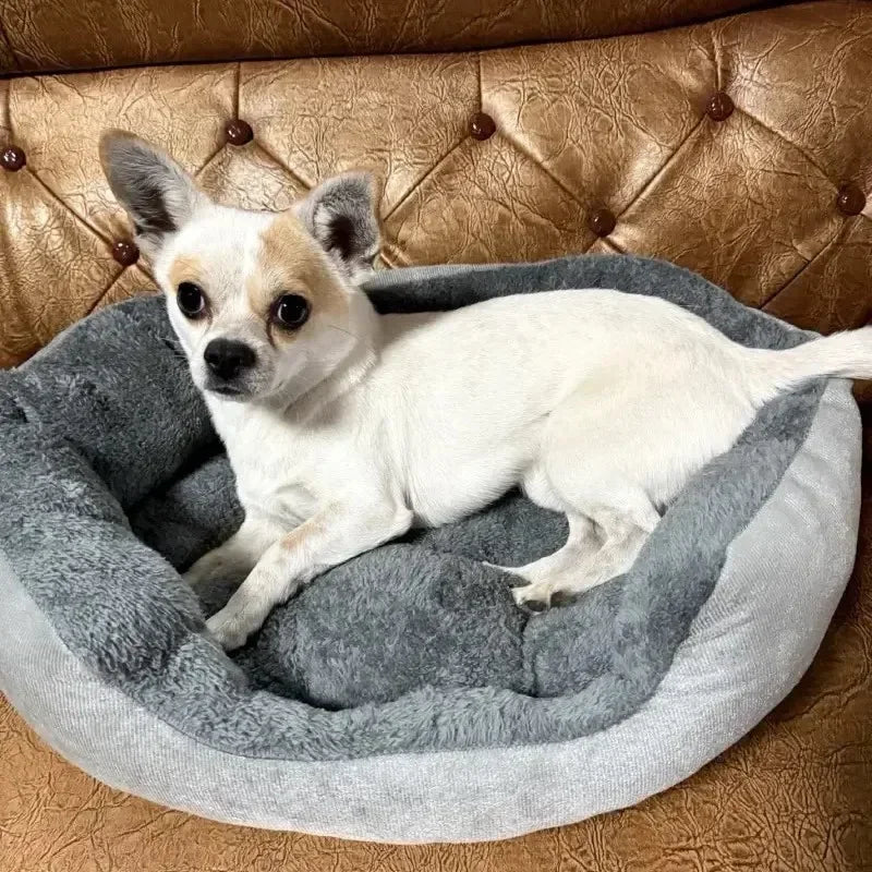 Cama Suave para Perros y Gatos