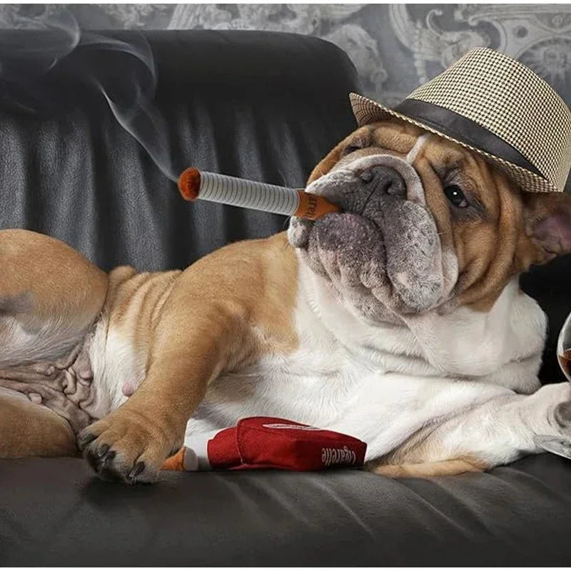 Juguete Mordedor con Sonido para Perros