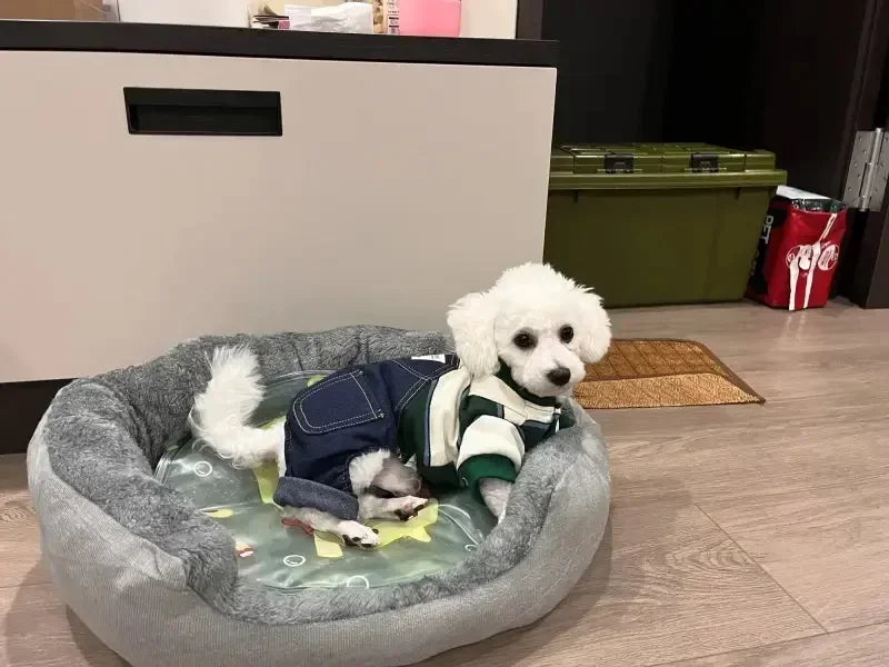Cama Suave para Perros y Gatos