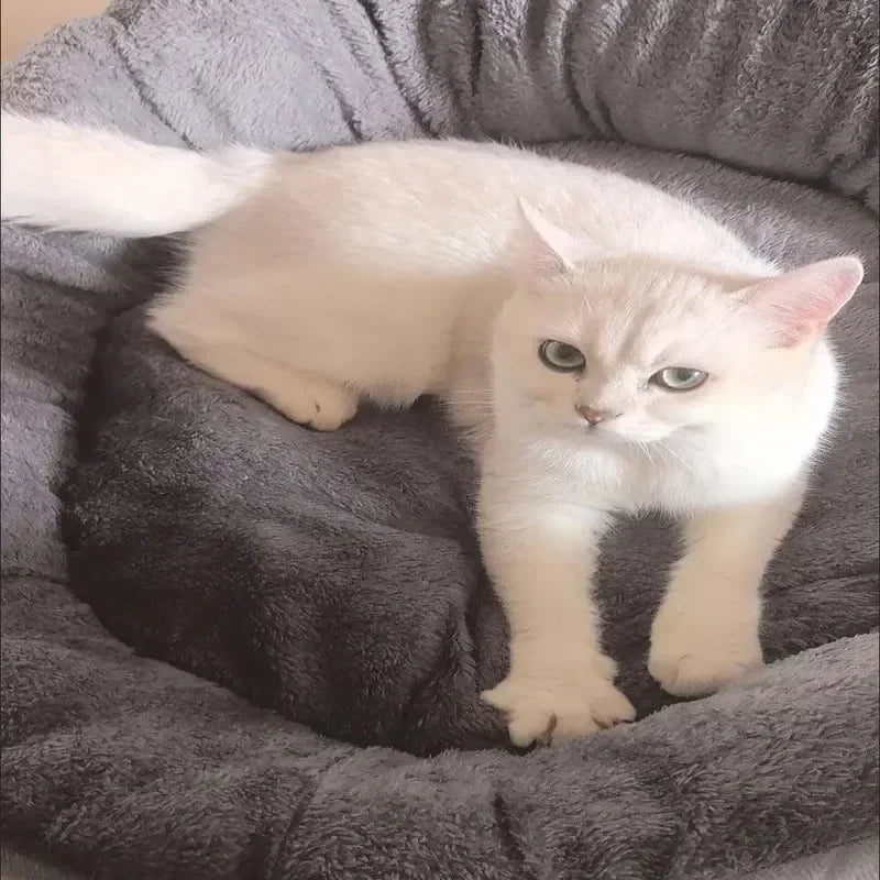 Cama Suave para Perros y Gatos