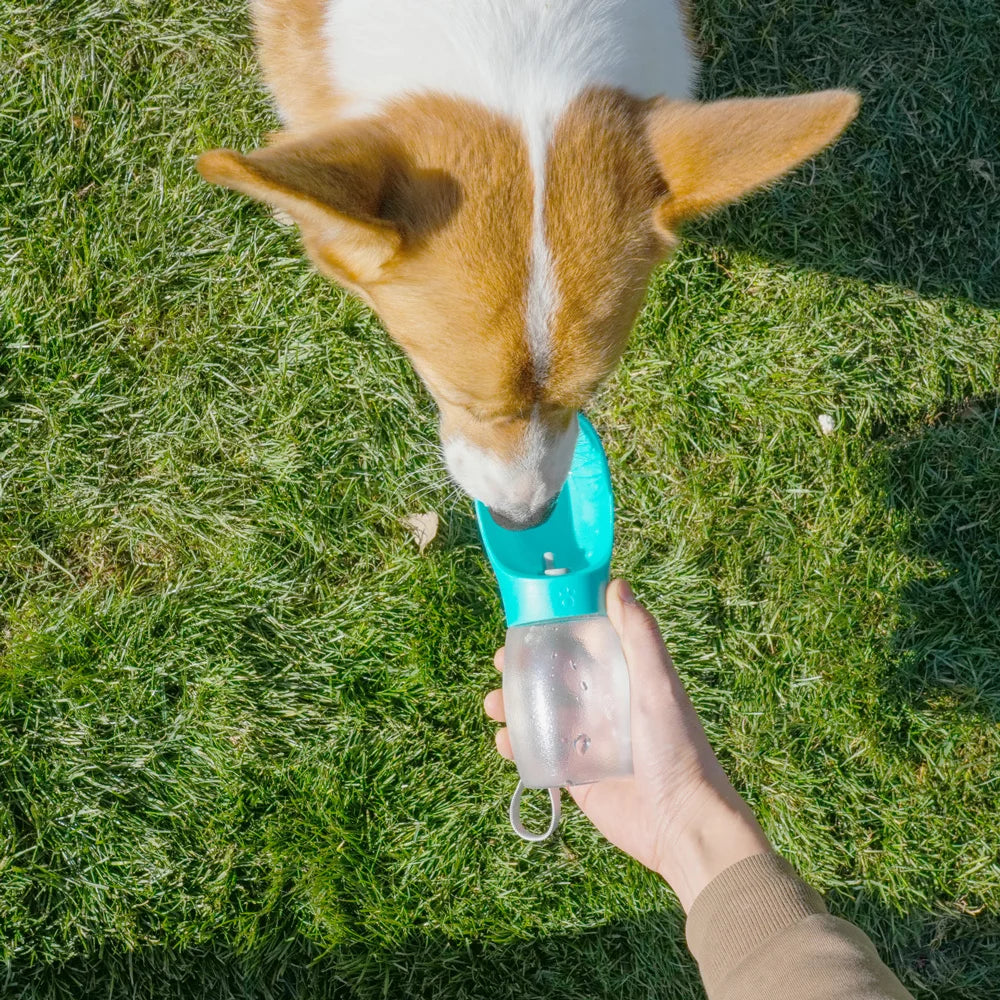 Botella Bebedero Portátil para Perros